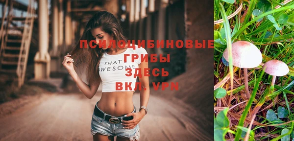 стаф Абаза