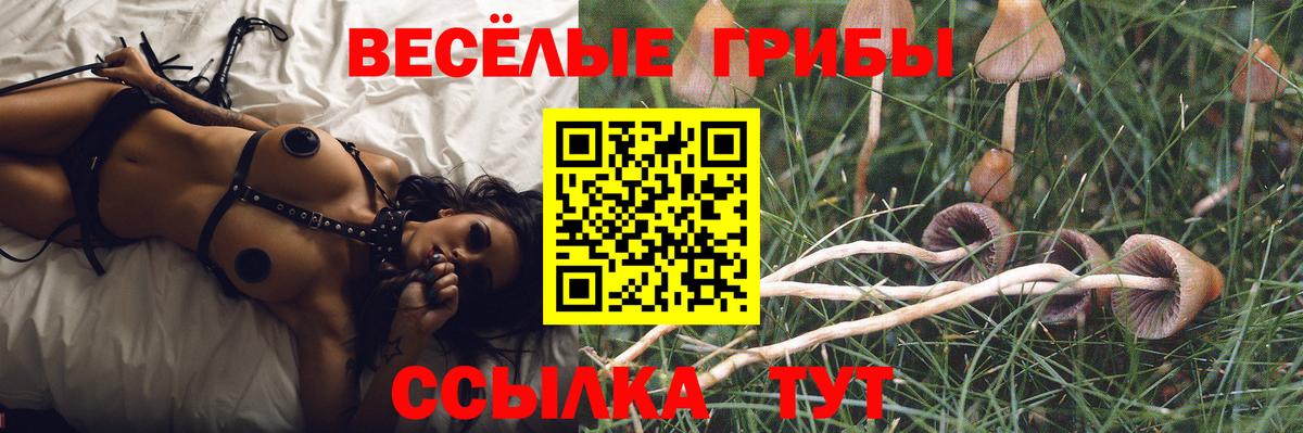 Псилоцибиновые грибы прущие грибы Владикавказ