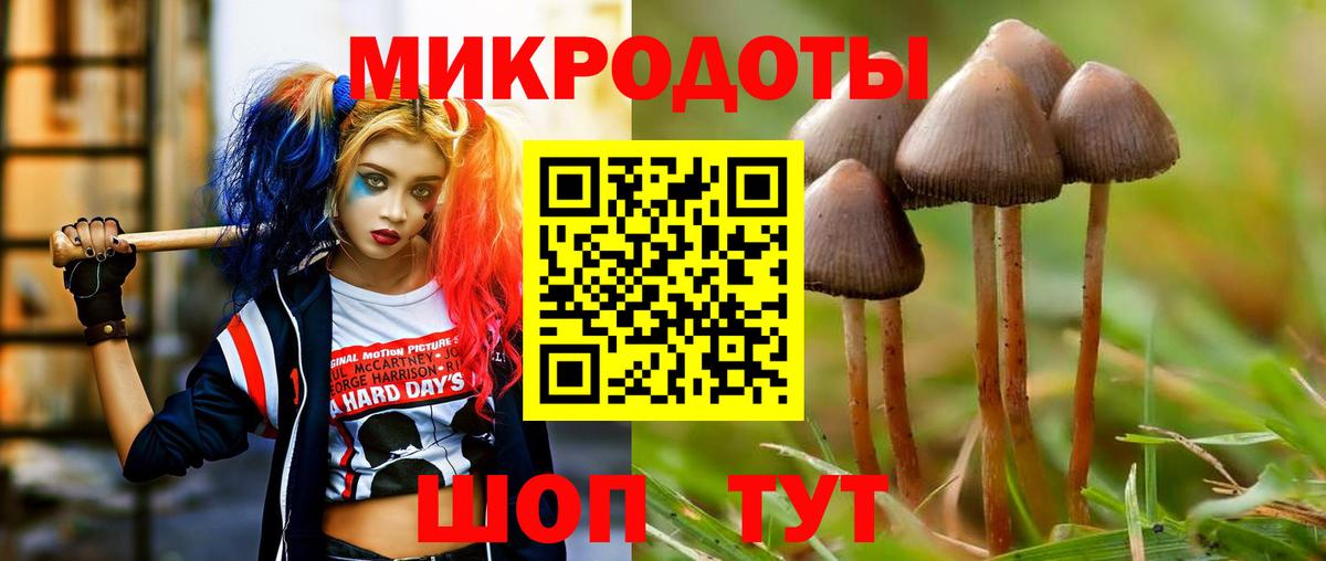 продажа наркотиков  Вход с VPN  Владикавказ  Псилоцибиновые грибы Magic Shrooms 